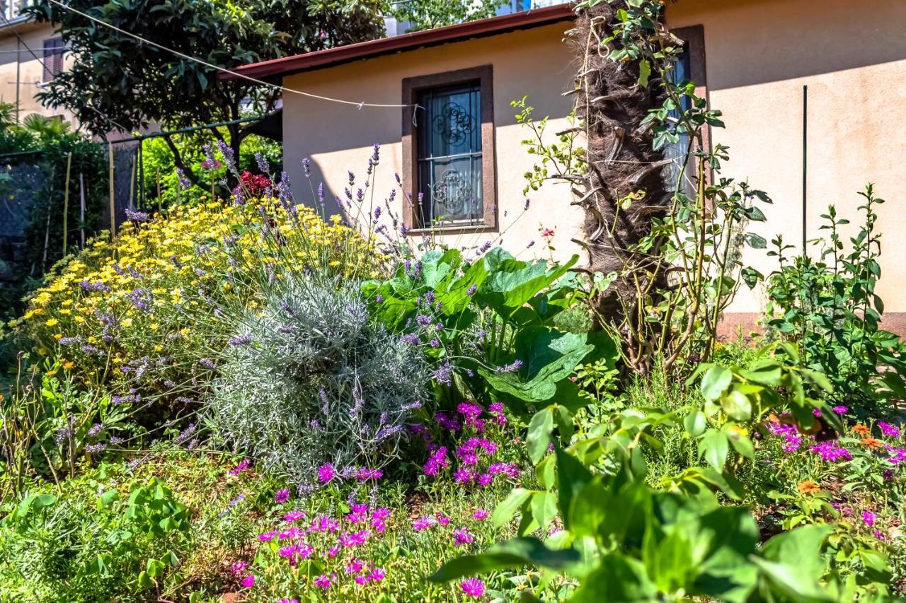 Little Garden House Villa Rijeka Exteriör bild
