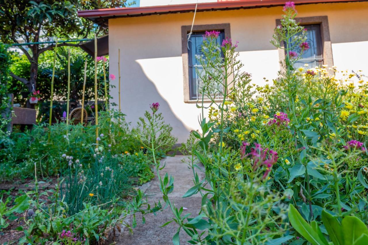 Little Garden House Villa Rijeka Exteriör bild
